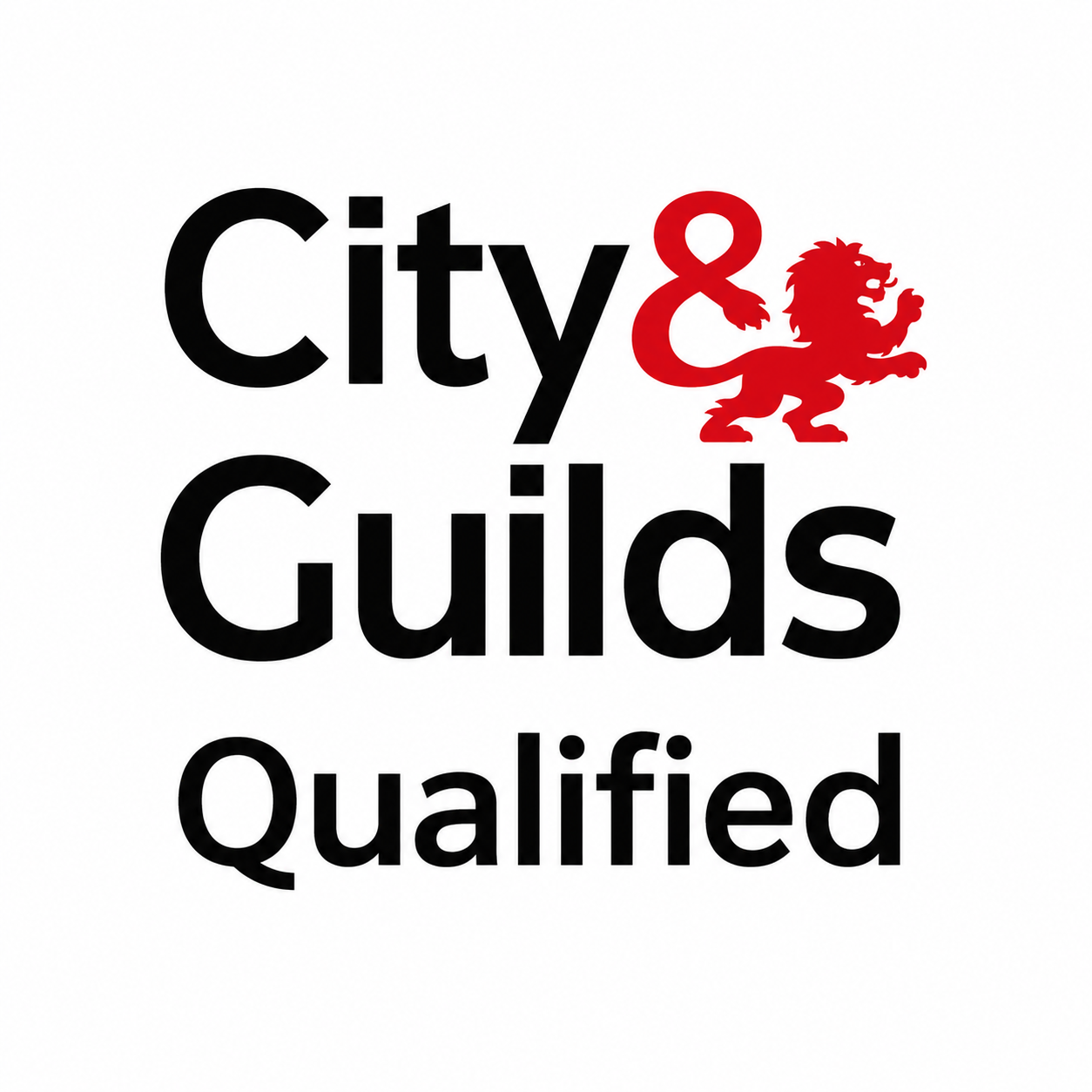 City & Guilds Qualified